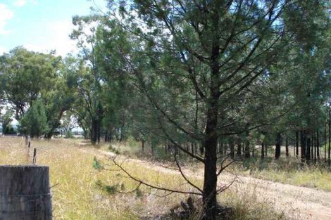 15 Bomera St, Tambar Springs, NSW 2381