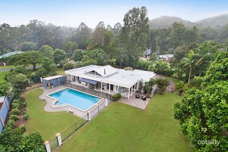 12 Camphorlaurel Ct, Tallebudgera Valley, QLD 4228