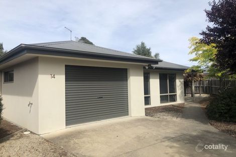 14 Bethune Pl, Newnham, TAS 7248