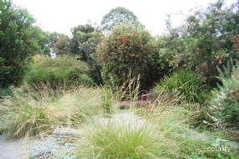 Property photo of 18 Landscape Court Balnarring VIC 3926