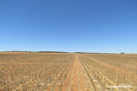 1829 Peter Rd, Ambania, WA 6632