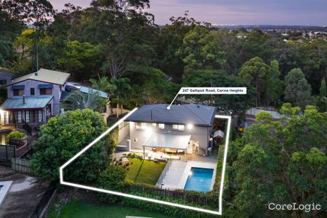 Property photo of 247 Gallipoli Road Carina Heights QLD 4152