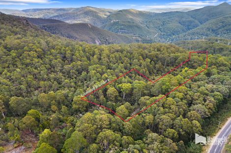 Property photo of 41 Main Street Sheffield TAS 7306