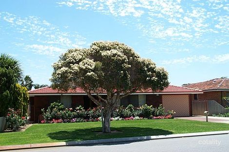 19 Grebe St, Stirling, WA 6021