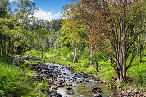 Property photo of 1799 Dunoon Road Dunoon NSW 2480