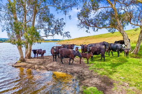 700 Cleland Gully Rd, Tooperang, SA 5255