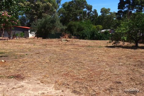 Property photo of 31 Albert Street Bellevue WA 6056