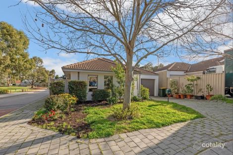 37 Merian Cl, Bentley, WA 6102