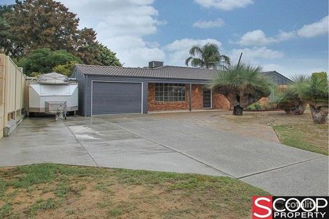 Property photo of 153 Cordelia Avenue Coolbellup WA 6163