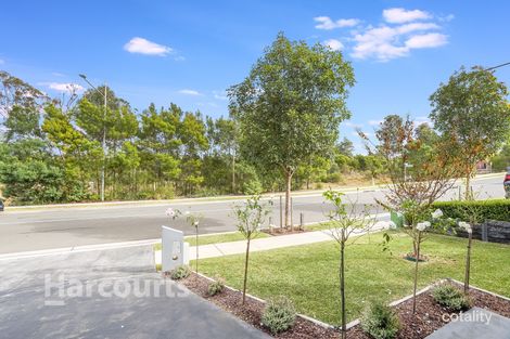 Property photo of 42 Olive Hill Drive Cobbitty NSW 2570