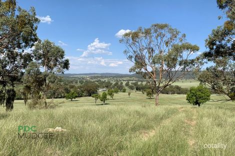 9090 Bylong Valley Way, Murrumbo, NSW 2849