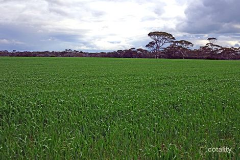 268 Davies Rd, Kondinin, WA 6367