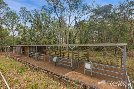 Property photo of 1 Jamberoo Way Karana Downs QLD 4306