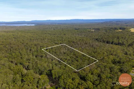 Parnell Rd, Tomerong, NSW 2540