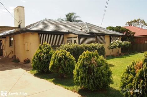 Property photo of 36 Elgin Avenue Warradale SA 5046