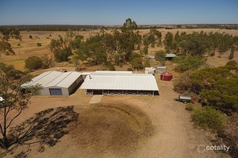 59 Lalors Lane, Orange Hill, QLD 4455