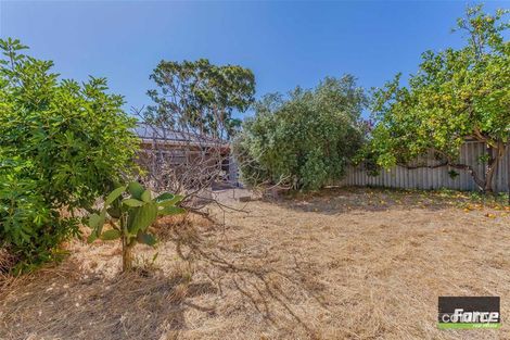 Property photo of 6B Boston Street Balcatta WA 6021