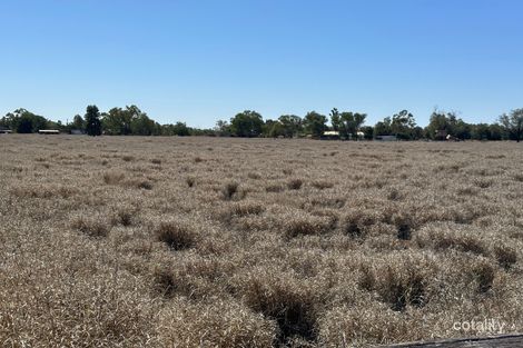 Property photo of 40 Jupp Street Charleville QLD 4470