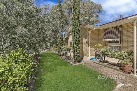 Property photo of 79 Rutherglen Avenue Valley View SA 5093