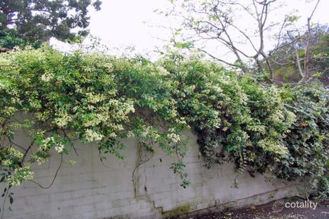 Property photo of 12 Bray Street North Sydney NSW 2060