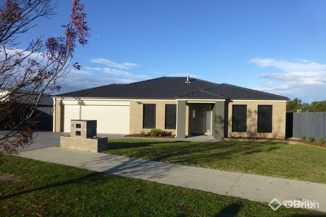 11 Eastern View Dr, Eastwood, VIC 3875