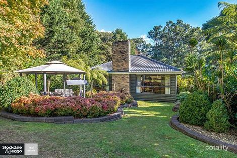 141 Emerald-Monbulk Rd, Emerald, VIC 3782