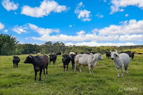 Property photo of 2 Webber Road Wyrallah NSW 2480