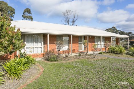 14 Proud Tce, Flora Hill, VIC 3550