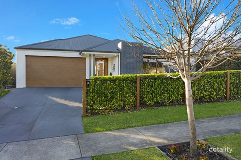 Property photo of 3 Longtail Street Chisholm NSW 2322