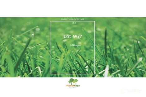 967 Murtin Rd, Dalyellup, WA 6230