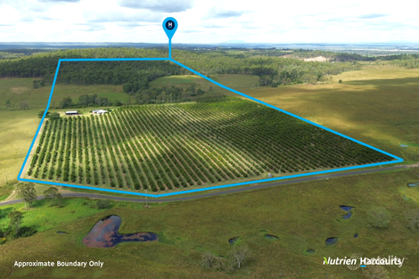 226 Sondergelds Rd, Mcilwraith, QLD 4671