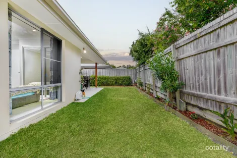 Property photo of 14 Tree Ring Circuit Mango Hill QLD 4509