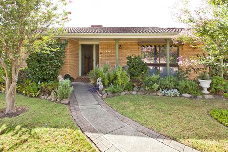 536 Webb St, Lavington, NSW 2641