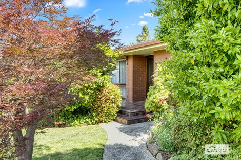 1009 Fairview Dr, North Albury, NSW 2640