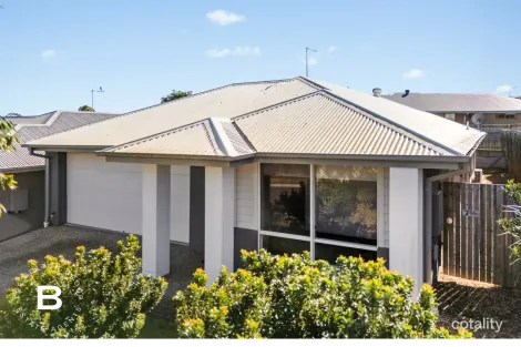 Property photo of 8 Primrose Crescent Redbank Plains QLD 4301