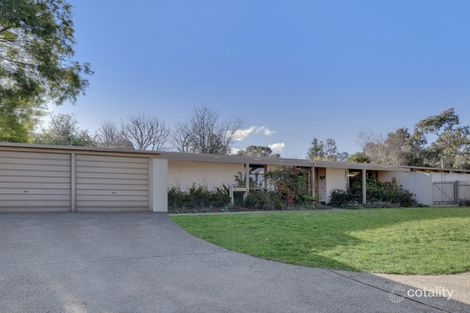 4/72 Shackleton Cct, Mawson, ACT 2607