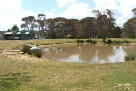 Property photo of 36 Panhandle Road Uralla NSW 2358