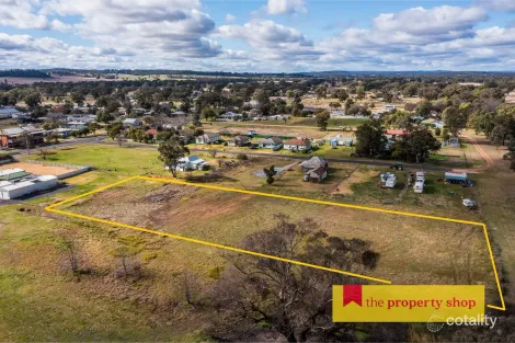 10 Brambil St, Mendooran, NSW 2842