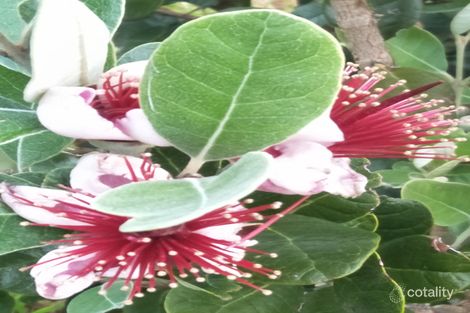 Property photo of 4 Harberts Road Don Valley VIC 3139