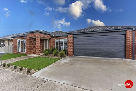 Property photo of 12 Furness Street Kangaroo Flat VIC 3555