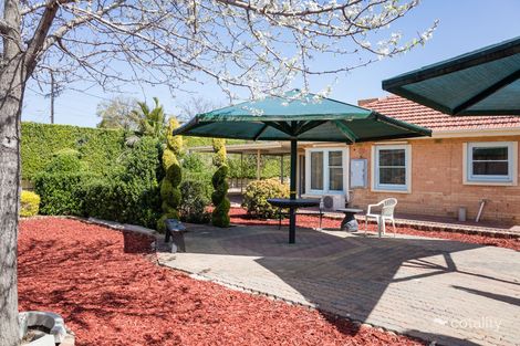 Property photo of 58 Collins Street Enfield SA 5085