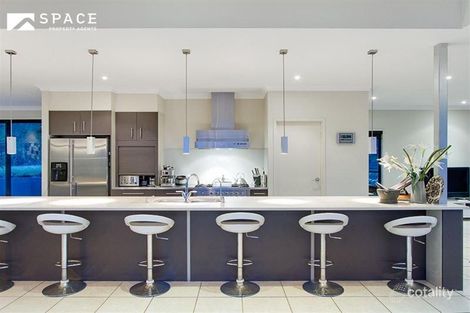 Property photo of 528 Payne Road The Gap QLD 4061