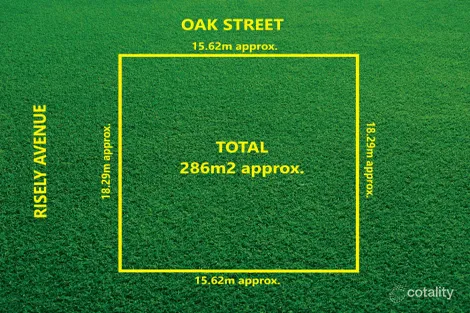 Property photo of 1 Risely Avenue Royal Park SA 5014