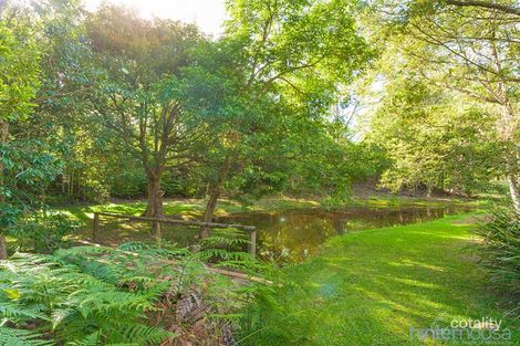 Property photo of 142 Blueberry Drive Black Mountain QLD 4563