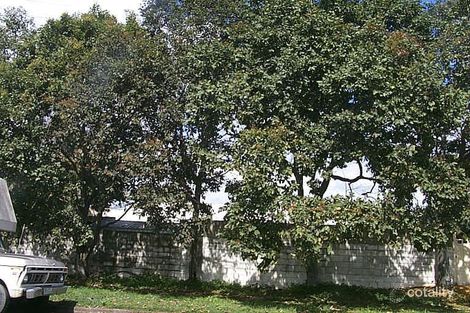 Property photo of 7 School Street Hendra QLD 4011