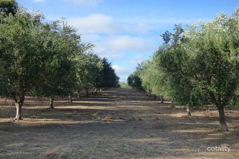 927 Monteagle Stock Rte E, Monteagle, NSW 2594