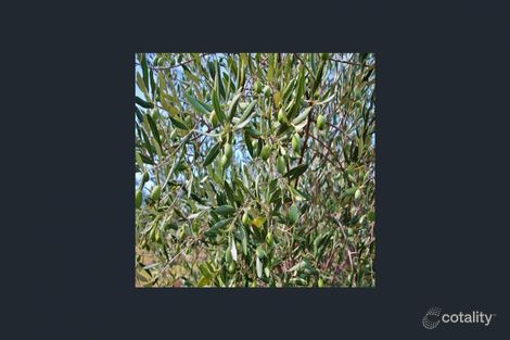 Property photo of 927 Monteagle Stock Route East Monteagle NSW 2594