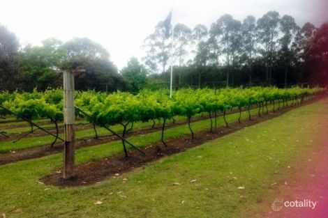 Property photo of 16 Frances Dun Close Duns Creek NSW 2321