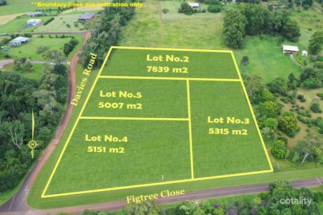 56 Figtree Cl, Malanda, QLD 4885