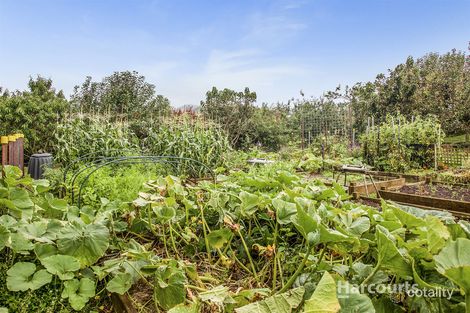 966 Pine Rd, Riana, TAS 7316